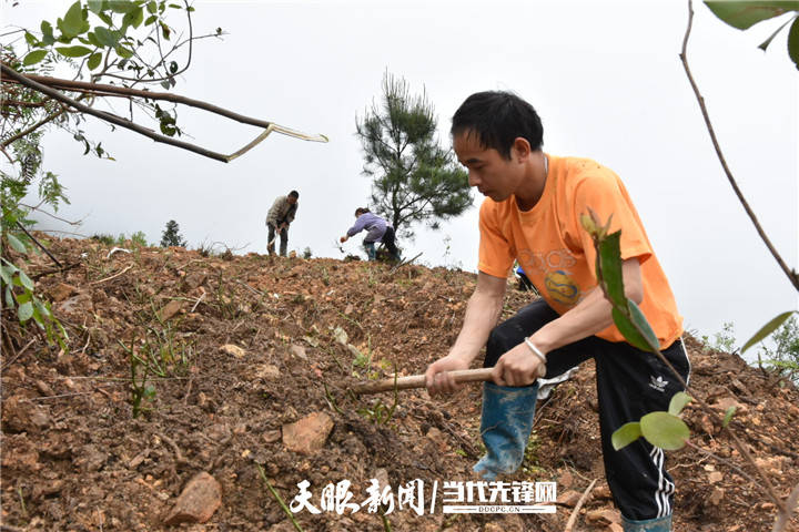 農村直播給農民帶來的影響