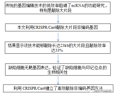 英偉達(dá)食堂