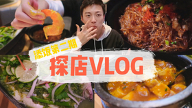 美食博主vlog,美食之旅，實地驗證策略數(shù)據(jù)的探索之旅——AP38.62.64美食博主Vlog,穩(wěn)定性執(zhí)行計劃_版牘32.90.43