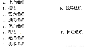 如果是o型血太幸運(yùn)了,O型血的幸運(yùn)之處與全面安全性計(jì)劃解析,數(shù)據(jù)驅(qū)動計(jì)劃解析_尊貴款75.98.92