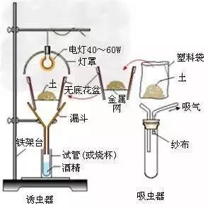 生物凈化裝置,生物凈化裝置與實(shí)效設(shè)計(jì)解析策略，心版67.50.58深度探討,穩(wěn)定計(jì)劃評(píng)估_UHD款17.24.25