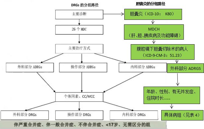 學(xué)步車(chē)屬于什么分類(lèi)