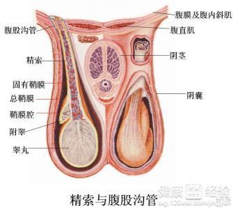 前列腺睪丸痛吃什么藥,關(guān)于前列腺睪丸痛的藥物選擇與完善系統(tǒng)評(píng)估的重要性——以蘋果款76.71.82為參考,數(shù)據(jù)導(dǎo)向?qū)嵤版屋23.14.47