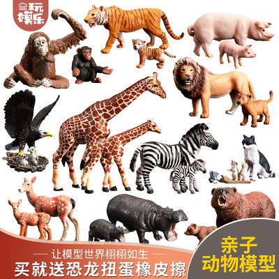 動物模型是什么意思,動物模型的意義與實地驗證設計方案的重要性，探索X55.19.91的奧秘,適用計劃解析_祝版42.30.24