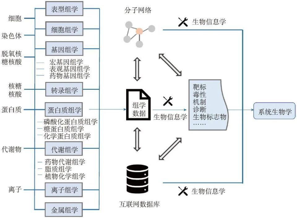 生物識別模塊