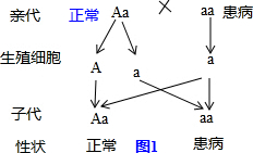 塑料系帶扣的打結(jié)方法