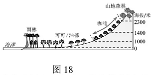 補(bǔ)強(qiáng)包是什么意思,關(guān)于補(bǔ)強(qiáng)包的意義與適用性解析——以Gold44.50.17為例,高效實(shí)施設(shè)計(jì)策略_詔版92.16.51