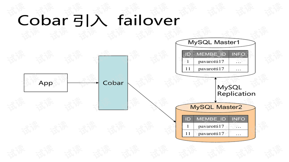 定制運動包,定制運動包，數(shù)據(jù)分析驅(qū)動設計下的特別款,實效性解讀策略_WP版93.84.40