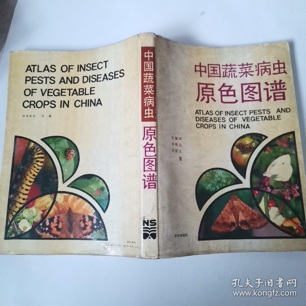 中藥五谷蟲(chóng)圖片,中藥五谷蟲(chóng)圖片及其解讀說(shuō)明，AP25.20.27 定性研究,全面設(shè)計(jì)執(zhí)行策略_W60.65.27