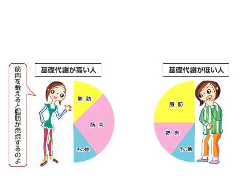 新陳代謝慢導(dǎo)致的肥胖該怎么減