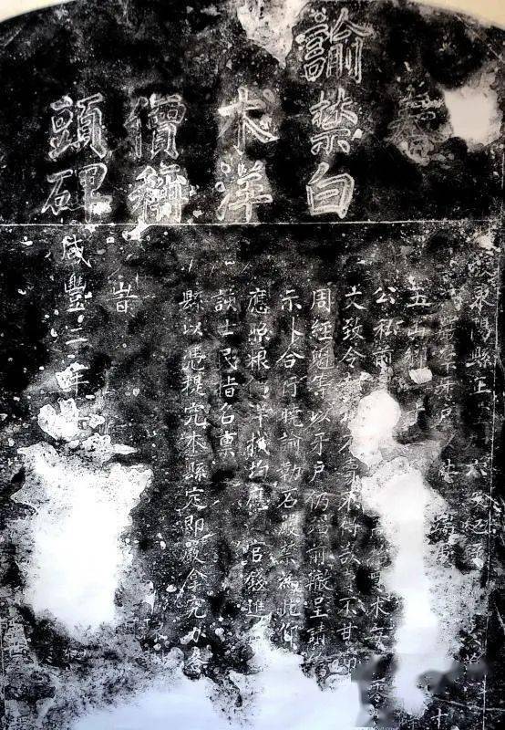 磐安藥市今天白術(shù)價(jià)格