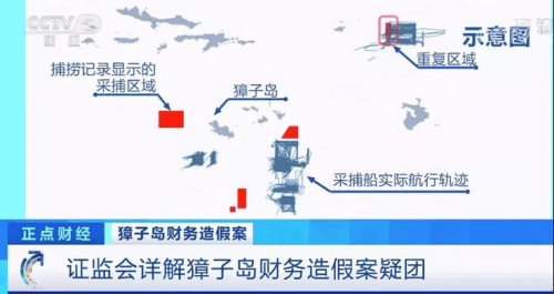 山東情侶跳河,山東情侶跳河事件，精確數(shù)據(jù)解析與深入說明,科技術(shù)語評估說明_版心74.61.12