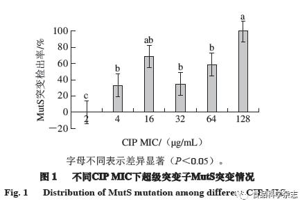 光源與增稠劑的原理是什么,光源與增稠劑，科學(xué)原理與專家解析,高速方案規(guī)劃_領(lǐng)航款48.13.17