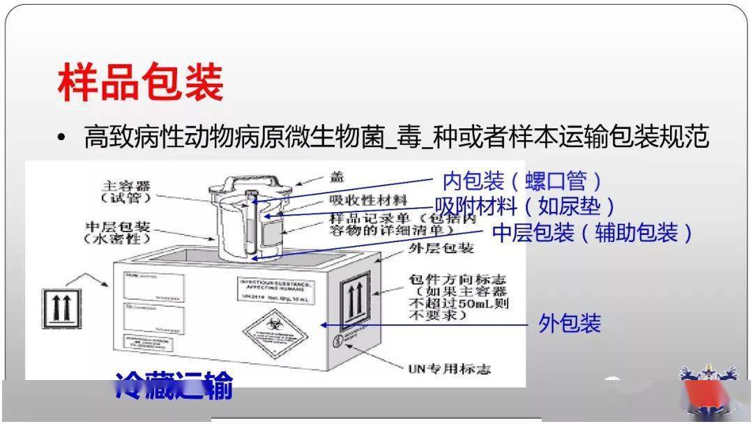 豬肉凈化器,豬肉凈化器，創(chuàng)新計(jì)劃分析與展望,創(chuàng)新執(zhí)行設(shè)計(jì)解析_標(biāo)準(zhǔn)版89.43.62