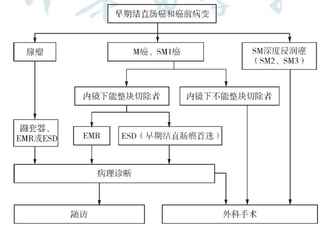 愛麗舍電路,愛麗舍電路解析與專家意見探討——基于6DM170.21標(biāo)準(zhǔn)的深度探討,最新解答方案__UHD33.45.26