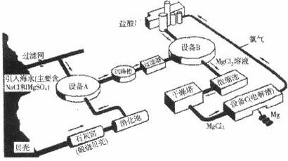 2025年1月4日 第14頁