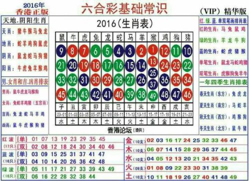 2024十二生肖49碼表,揭秘十二生肖與數(shù)字密碼，專業(yè)解析評(píng)估與解讀2024年生肖運(yùn)勢(shì)之49碼表,安全解析策略_S11.58.76