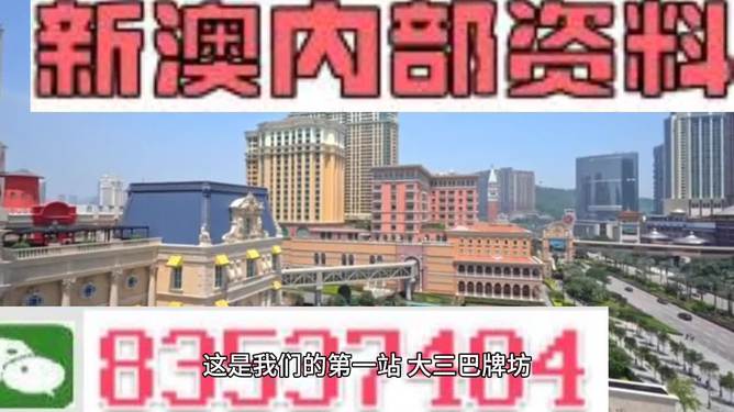 2024澳門精準正版資料大全,探索未來之門，澳門精準正版資料大全的全面應用分析數(shù)據(jù)（The37.83.49）,安全解析策略_S11.58.76