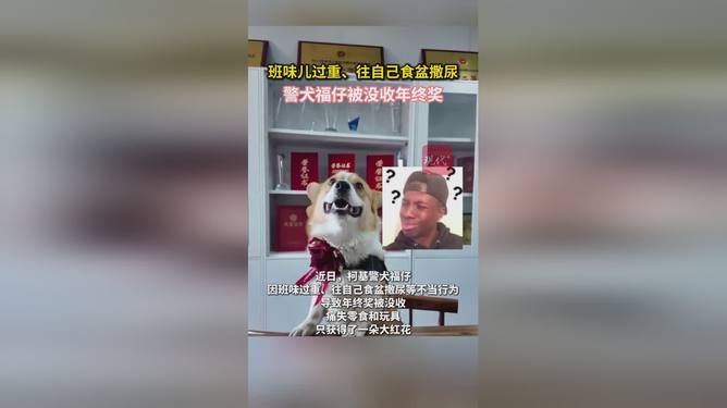 警犬因“班味過重”慘遭沒收年終獎(jiǎng)深層數(shù)據(jù)策略設(shè)計(jì)_iPhone67.60.38