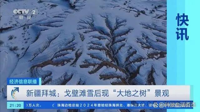 新疆雪后現(xiàn)大地之樹現(xiàn)象分析解釋定義_老版13.69.22