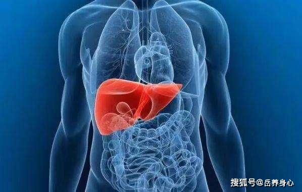 很多人不知道腎臟很怕這6種食物數(shù)據(jù)整合方案設(shè)計(jì)_36080.42.33