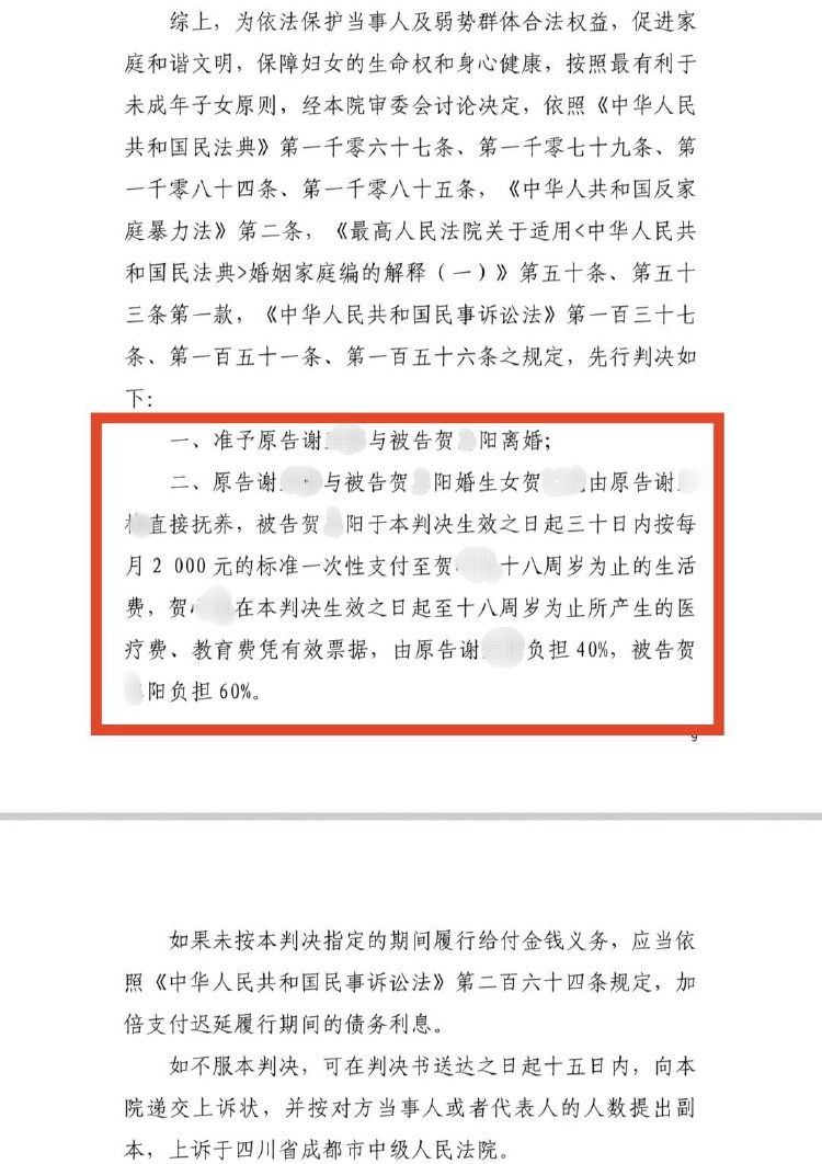 2年被家暴16次女子希望前夫判死刑深層設(shè)計(jì)解析策略_木版88.63.72