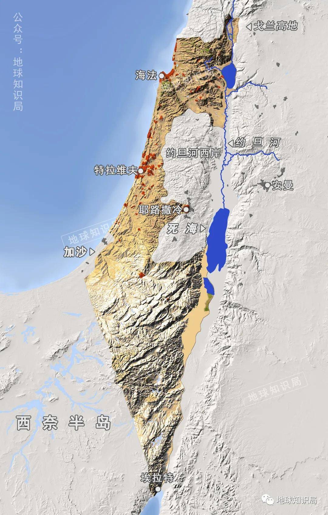 2025年2月8日 第63頁