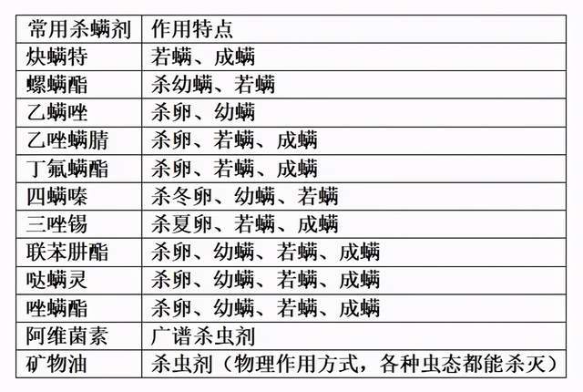 香港資料大全正版資料一二三,高效性實施計劃解析_簡版18.46.55快速計劃解答設計_桌面款52.74.17