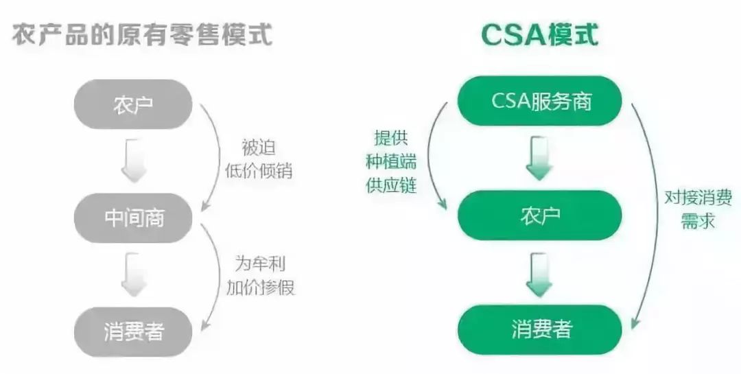 今晚開什么特馬資料600圖庫,數(shù)據(jù)整合策略解析_XR75.29.59調(diào)整方案執(zhí)行細(xì)節(jié)_露版48.38.34