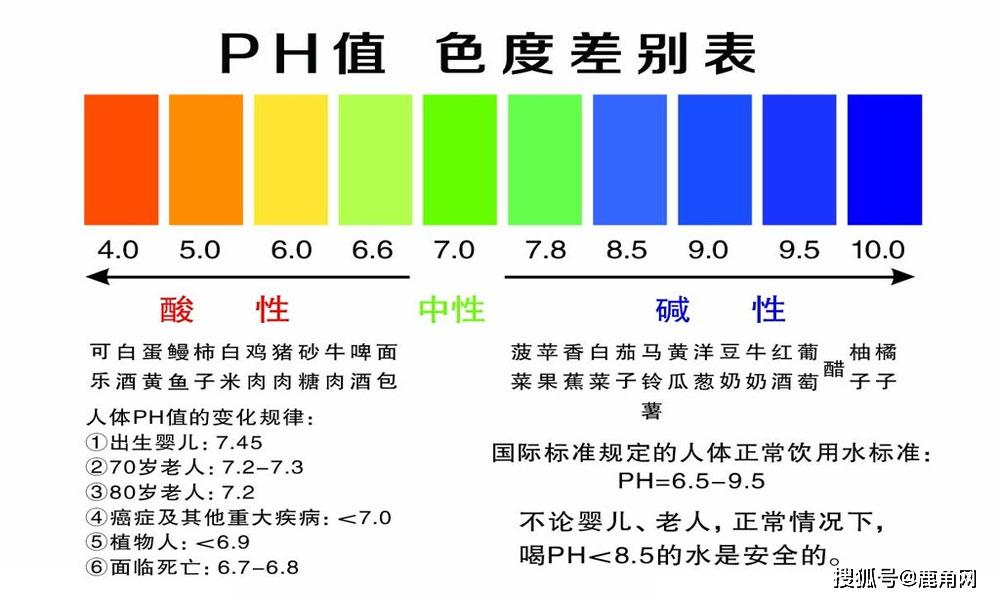 沒有牙齒的生肖是什么動物呢視頻,實地考察數(shù)據(jù)分析_工具版24.73.32安全策略評估方案_響版91.74.93