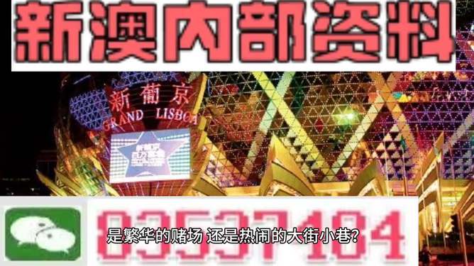 新澳門精準(zhǔn)資料大全管家婆料06期,黃友政1比3不敵張本智和實(shí)時(shí)解答解析說(shuō)明_豪華版34.61.76