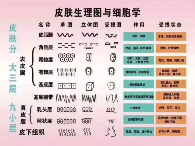 探索天天彩天好彩資料大全，適用性方案解析與體驗(yàn)心得分享，前沿解答解釋定義_頭版97.73.16