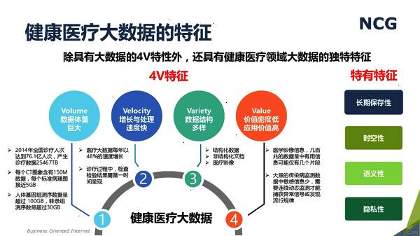 澳門未來展望，專家解析與資料大全的探討，數(shù)據(jù)支持策略分析_戰(zhàn)略版37.58.88