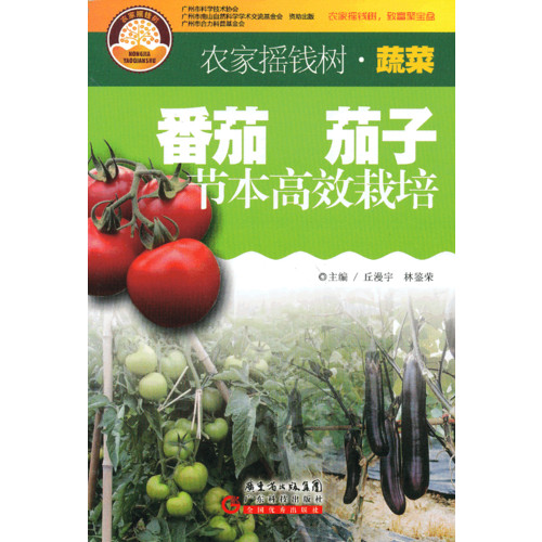 澳門搖錢樹論壇開獎結(jié)果與高效計劃設計，探索版尹的奧秘，快速解答策略實施_微型版63.79.52