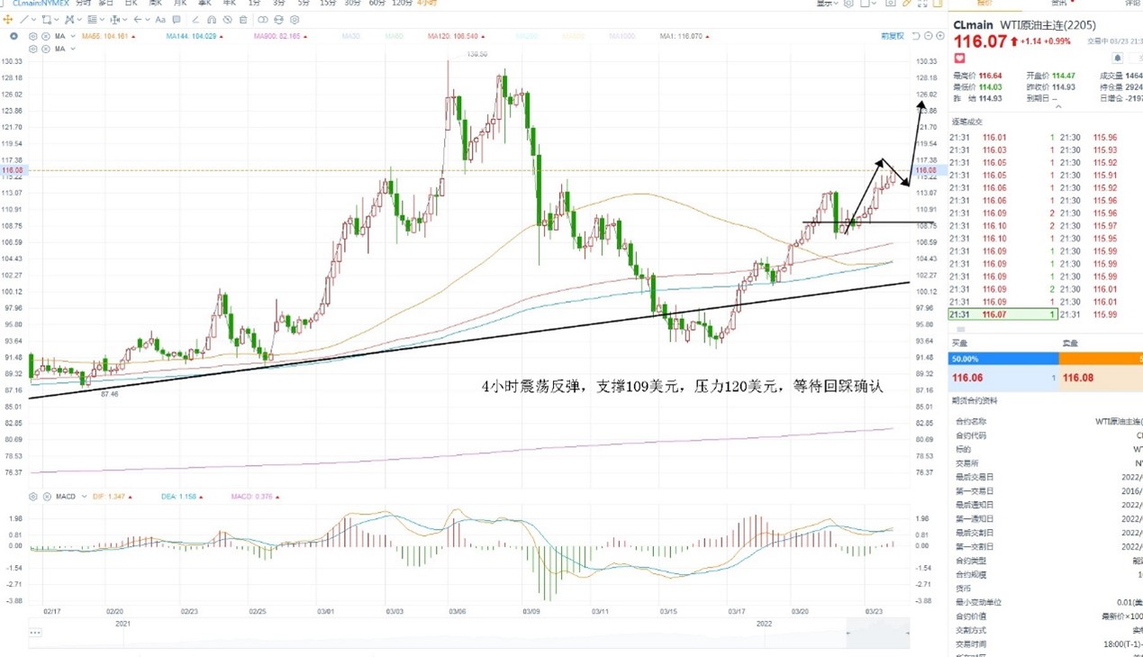 二四六天天308KCM每期文字資料大全與動態(tài)評估說明_bundle探討，數(shù)據(jù)解讀說明_精簡版15.37.88